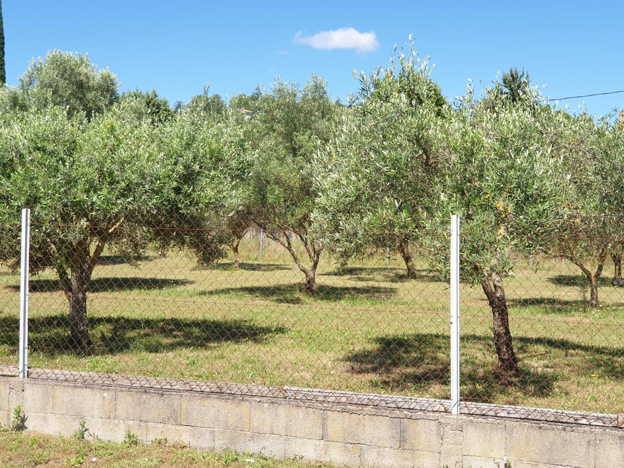 Gite Et Piscine L'Ecrin Aux Oliviers En Cevennes Saint-Christol-les-Ales Exterior photo