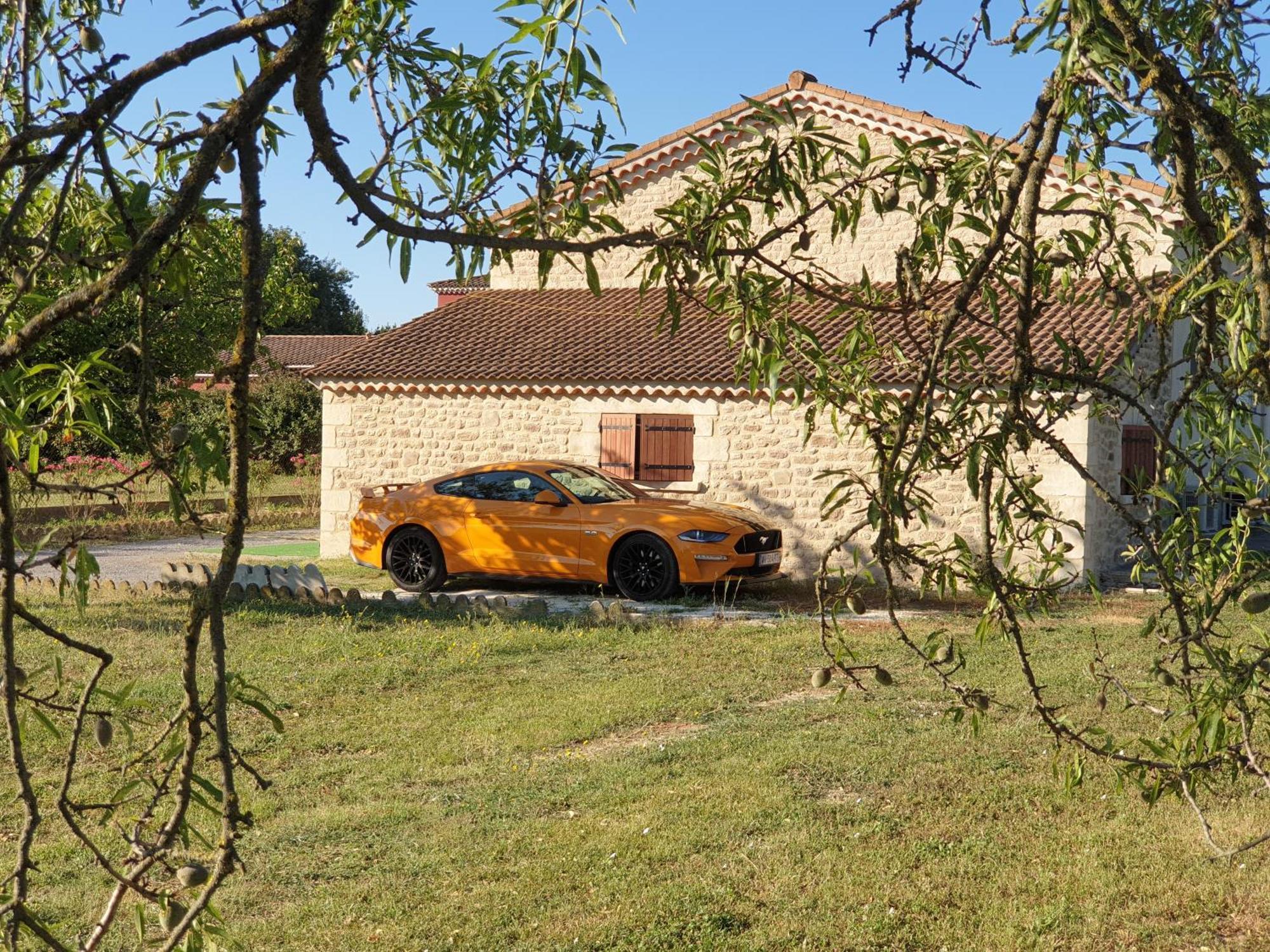 Gite Et Piscine L'Ecrin Aux Oliviers En Cevennes Saint-Christol-les-Ales Exterior photo